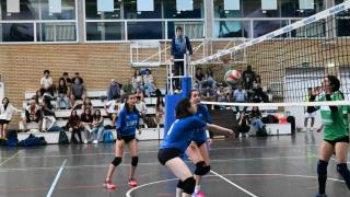 Finales Voleibol